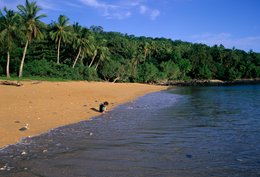 Archipel-des-Comores;-Cocotier;-Forêt;-France;-Kaleidos;-Kaleidos-images;-La-parole-à-limage;-Laurent-Abad;-Mayotte;-Mer;-Océan-Indien;-Paysage;-Plage;-Sable;-Stories-Pictures